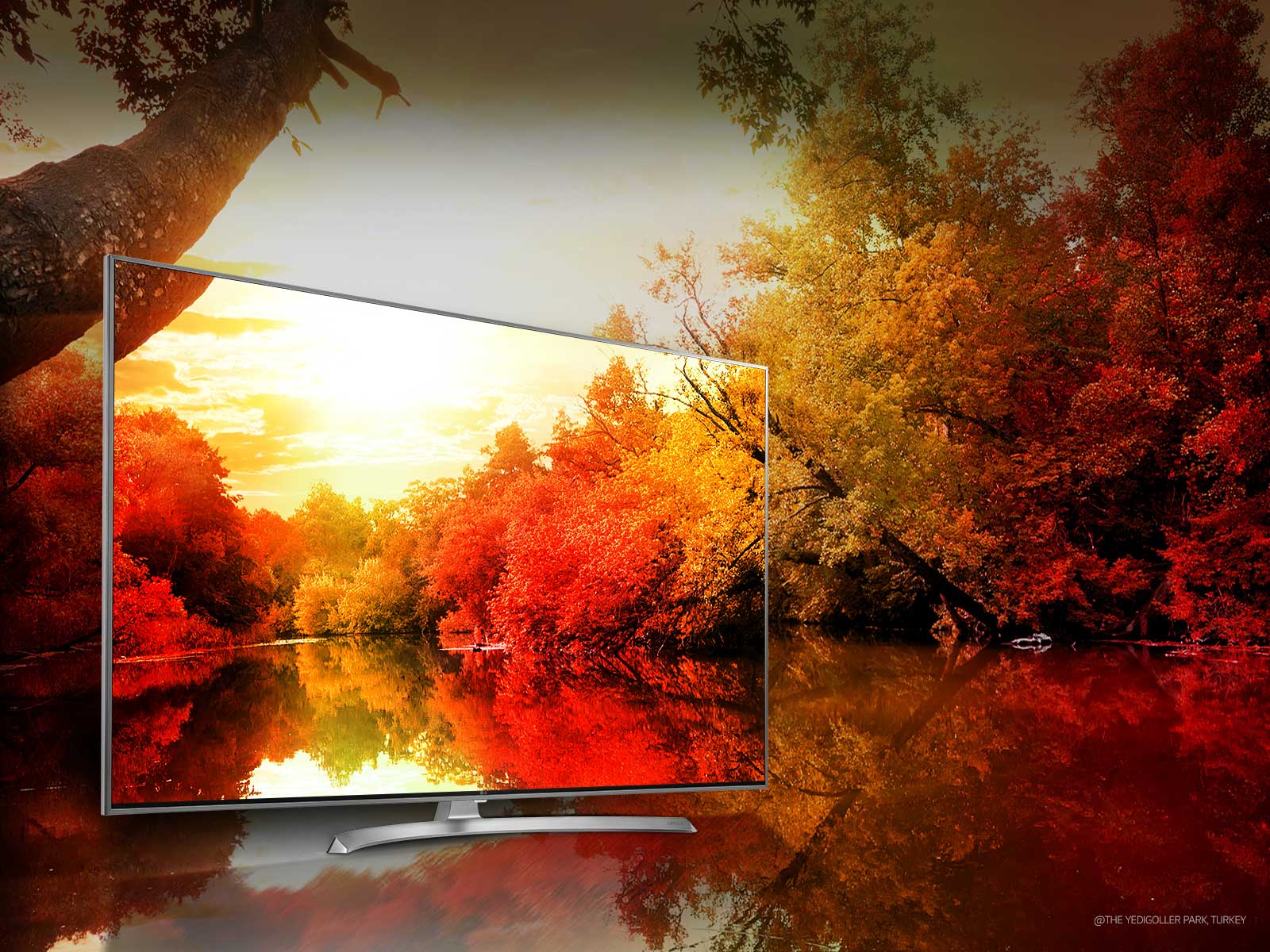 Vaikuttavat, miljardit, täyteläiset värit<br>1